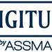 Vignette digitusbyassmann-logomasterblue800px