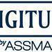 Vignette digitusbyassmann-logomasterblue800px