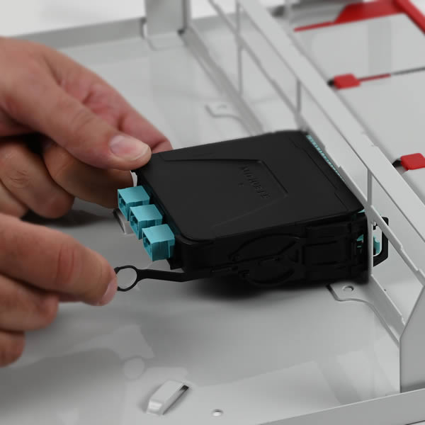 Transition Access Module Module de transition Plug and Play, 24 fibres, aqua, LightVerse - SIEMON