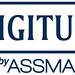 Vignette digitusbyassmann-logomasterblue800px